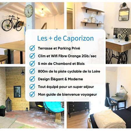 Caporizon-L'Atelier-Aux Portes Du Chateau De Chambord Saint-Claude-de-Diray Εξωτερικό φωτογραφία